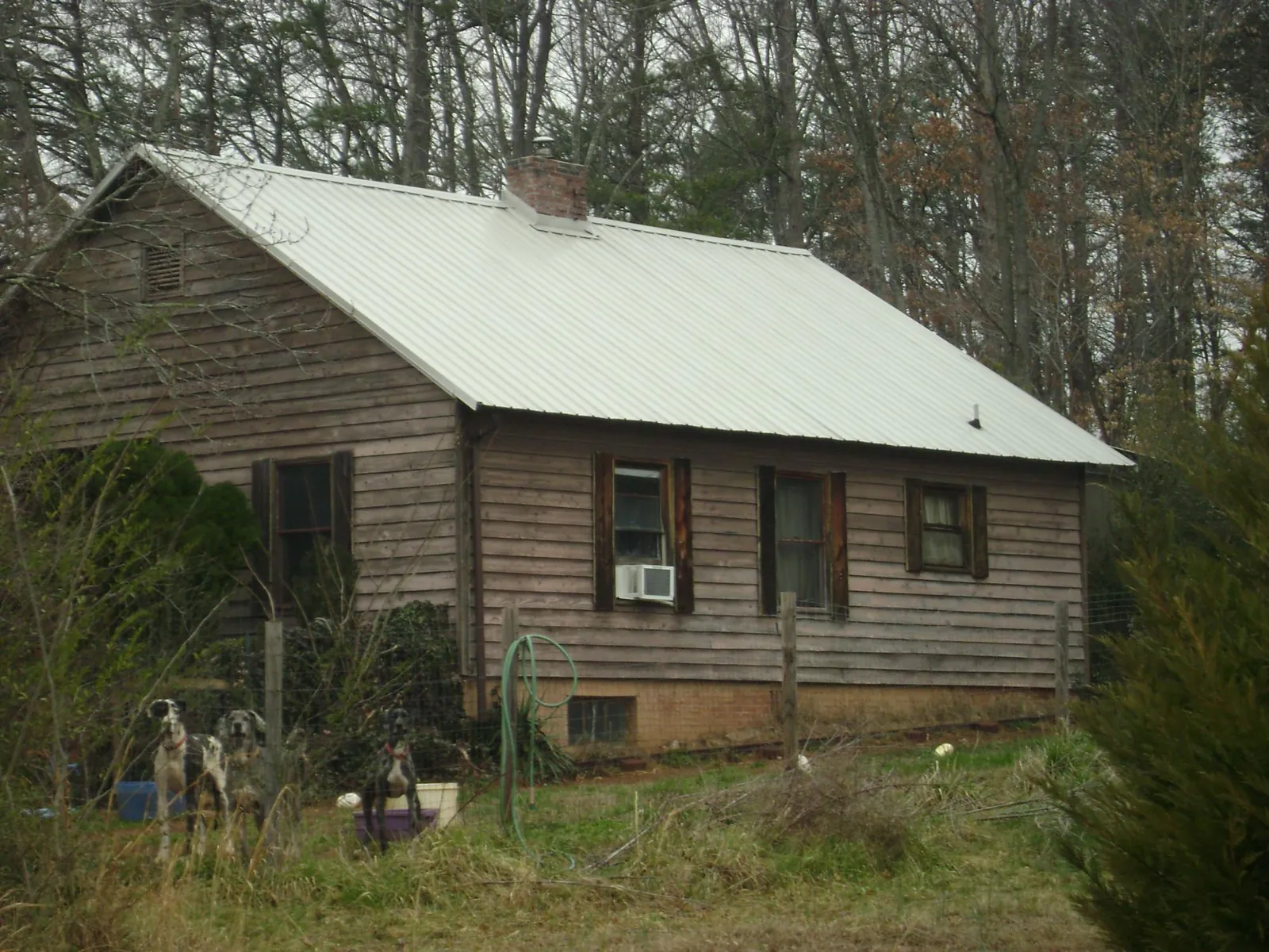 White metal roof on an old wood sided farmhouse, from a Asphalt Shingle Roof Repair job in Oriska